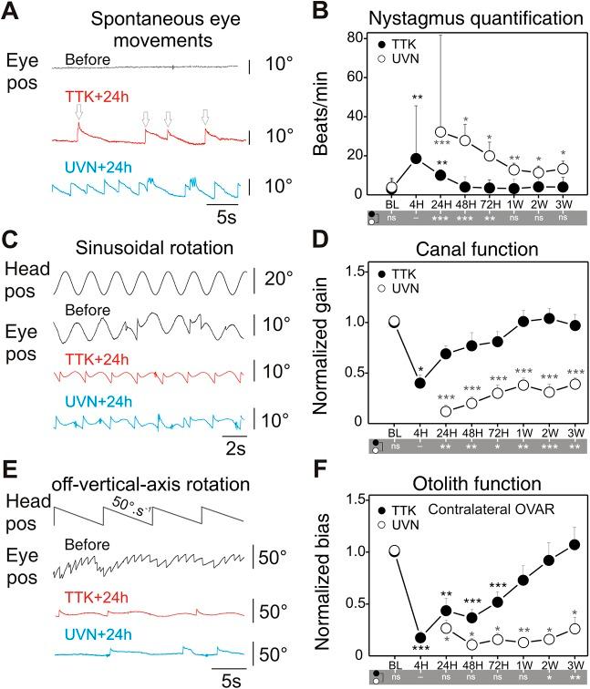 https://cdn.ncbi.nlm.nih.gov/pmc/blobs/89ef/6679379/60453b8c8632/dmm-12-039115-g4.jpg
