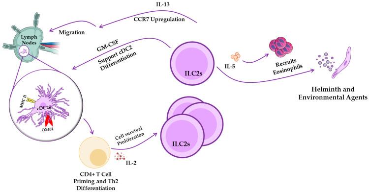 https://cdn.ncbi.nlm.nih.gov/pmc/blobs/89f2/12389142/63c9bde623ae/pathogens-14-00794-g004.jpg