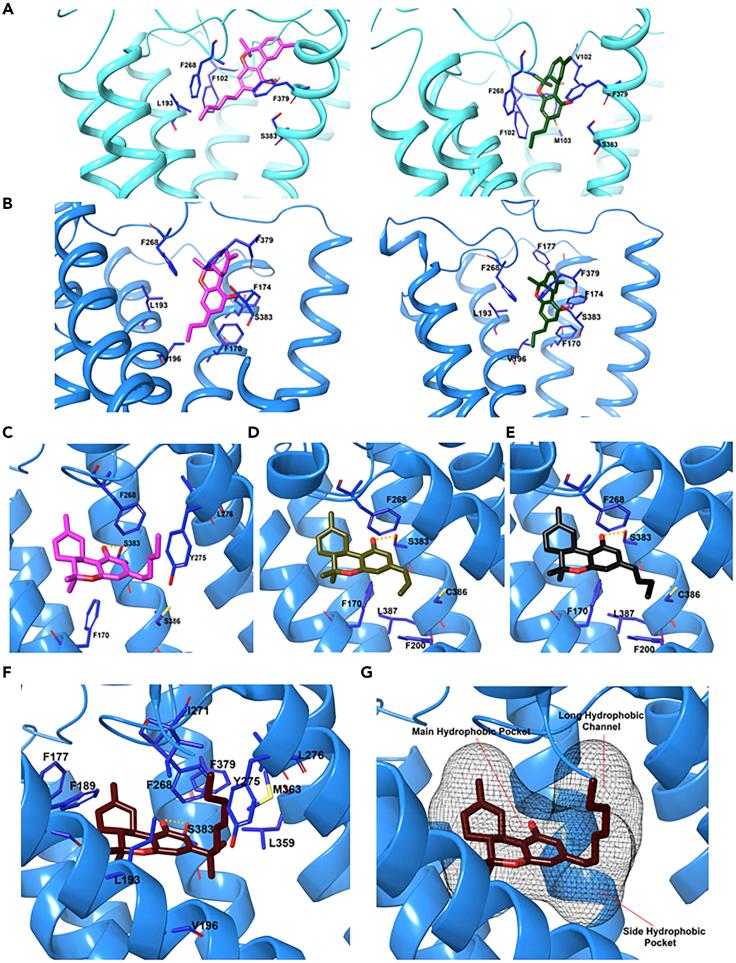 https://cdn.ncbi.nlm.nih.gov/pmc/blobs/89f2/7339067/164d5143a8c8/gr10.jpg