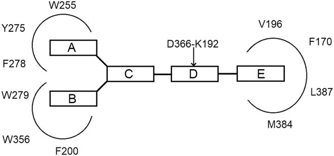 https://cdn.ncbi.nlm.nih.gov/pmc/blobs/89f2/7339067/4cec68b994c1/gr6.jpg