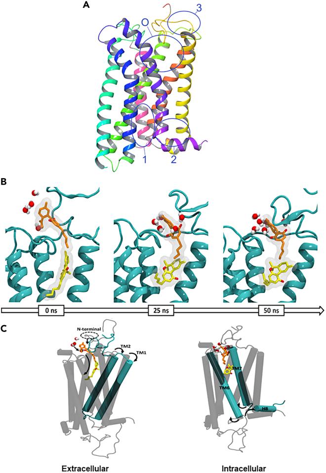 https://cdn.ncbi.nlm.nih.gov/pmc/blobs/89f2/7339067/56208cedb44e/gr9.jpg
