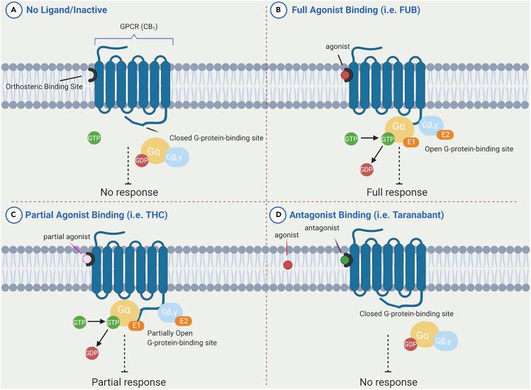 https://cdn.ncbi.nlm.nih.gov/pmc/blobs/89f2/7339067/666b96ea1db9/gr2.jpg