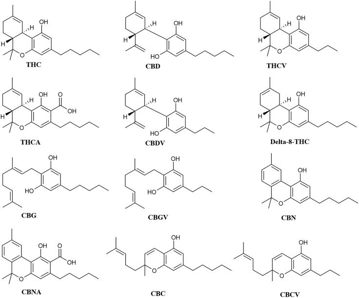 https://cdn.ncbi.nlm.nih.gov/pmc/blobs/89f2/7339067/96a1de50d193/gr1.jpg