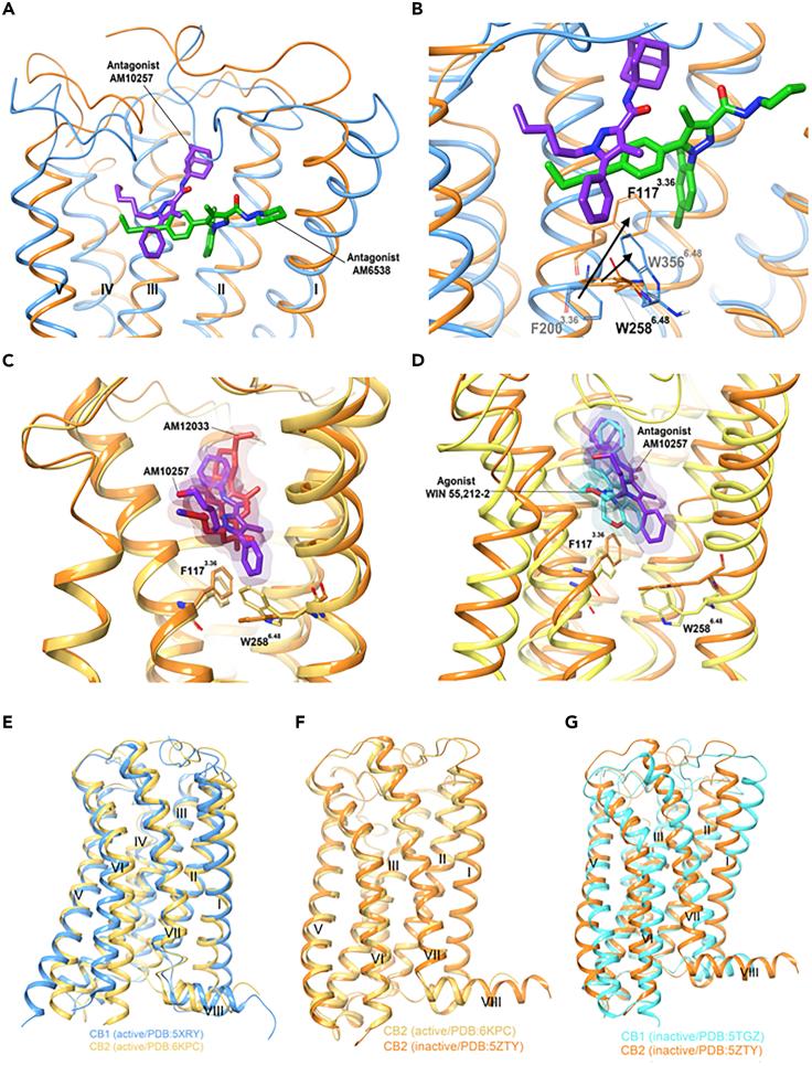 https://cdn.ncbi.nlm.nih.gov/pmc/blobs/89f2/7339067/c3eca8153792/gr5.jpg