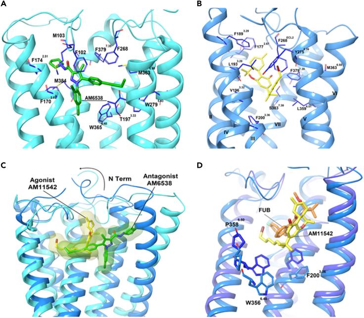 https://cdn.ncbi.nlm.nih.gov/pmc/blobs/89f2/7339067/c943b81d6165/gr4.jpg