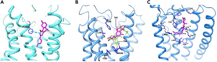 https://cdn.ncbi.nlm.nih.gov/pmc/blobs/89f2/7339067/cb54bb911ab3/gr8.jpg