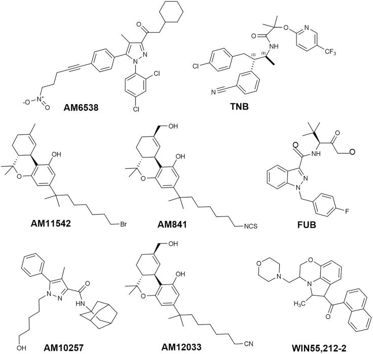 https://cdn.ncbi.nlm.nih.gov/pmc/blobs/89f2/7339067/cf7488fc53de/gr3.jpg