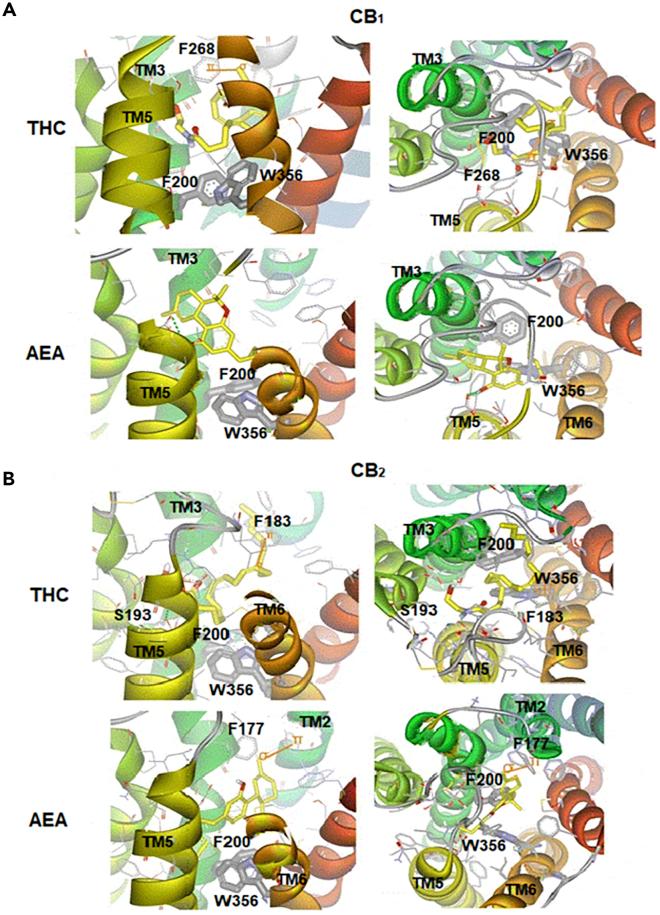 https://cdn.ncbi.nlm.nih.gov/pmc/blobs/89f2/7339067/d1a3ee315f51/gr7.jpg