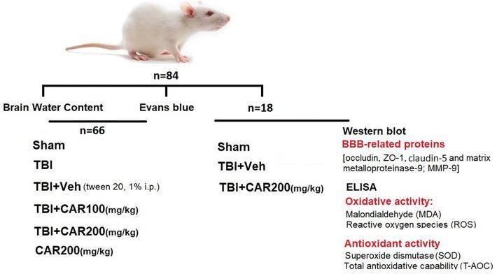 https://cdn.ncbi.nlm.nih.gov/pmc/blobs/89f5/10477335/44f75d698c14/41598_2023_40915_Fig7_HTML.jpg