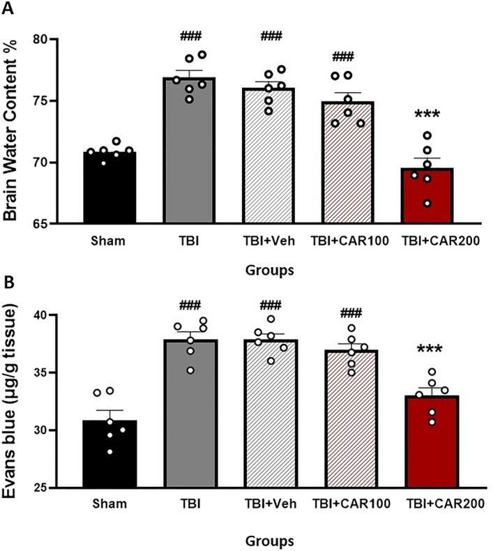 https://cdn.ncbi.nlm.nih.gov/pmc/blobs/89f5/10477335/fe416a4b8ebd/41598_2023_40915_Fig4_HTML.jpg