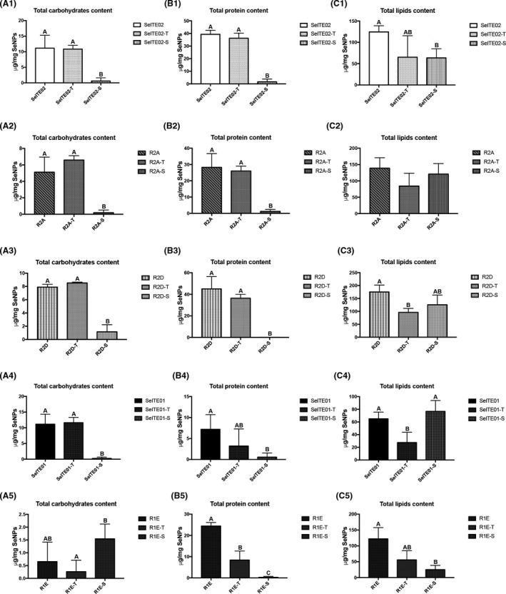 https://cdn.ncbi.nlm.nih.gov/pmc/blobs/89f5/7888468/3902e253c121/MBT2-14-198-g003.jpg