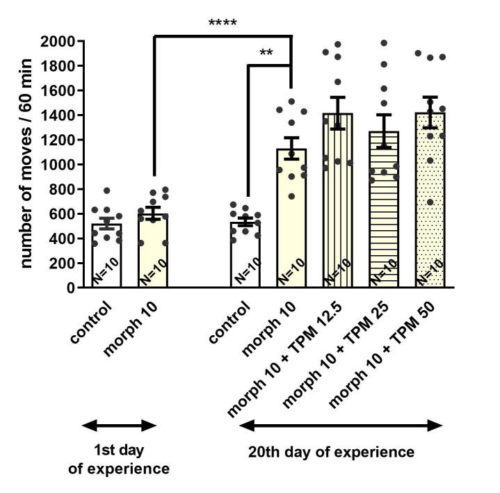 https://cdn.ncbi.nlm.nih.gov/pmc/blobs/89f6/12110004/eede626e7018/biomolecules-15-00730-g005.jpg