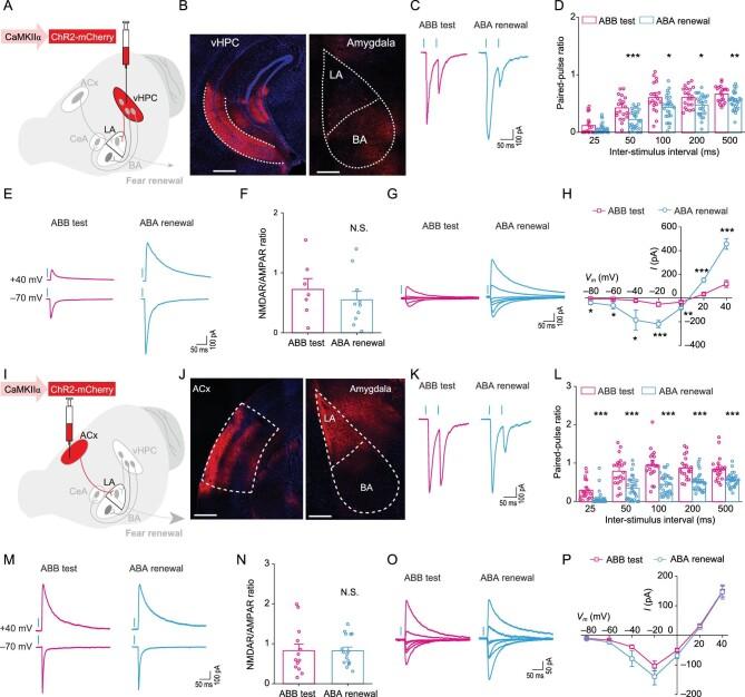https://cdn.ncbi.nlm.nih.gov/pmc/blobs/89f6/8433092/a3ecae63483c/nwab004fig3.jpg