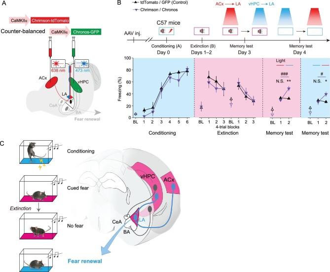 https://cdn.ncbi.nlm.nih.gov/pmc/blobs/89f6/8433092/b9bc21c06b2e/nwab004fig6.jpg