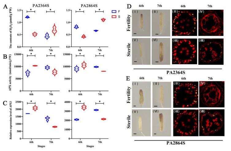 https://cdn.ncbi.nlm.nih.gov/pmc/blobs/89f8/8998824/1d912d342a52/ijms-23-03744-g010.jpg