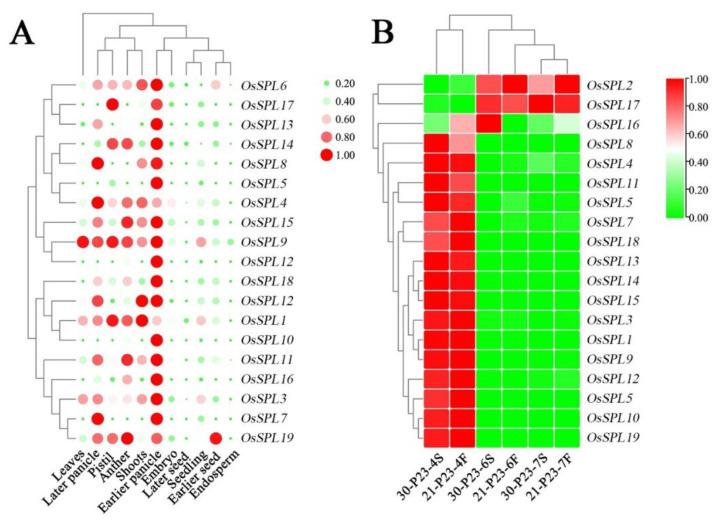 https://cdn.ncbi.nlm.nih.gov/pmc/blobs/89f8/8998824/25a197edb97c/ijms-23-03744-g002.jpg