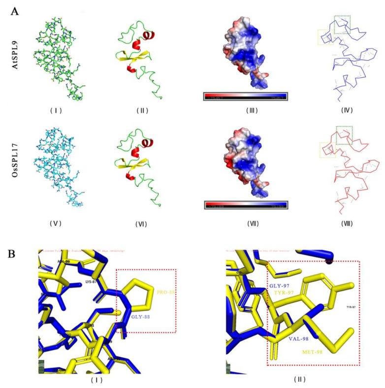 https://cdn.ncbi.nlm.nih.gov/pmc/blobs/89f8/8998824/959324ac2670/ijms-23-03744-g005.jpg