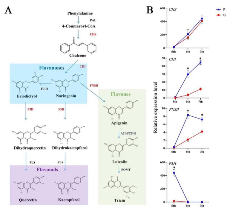 https://cdn.ncbi.nlm.nih.gov/pmc/blobs/89f8/8998824/be5b9971f816/ijms-23-03744-g009.jpg