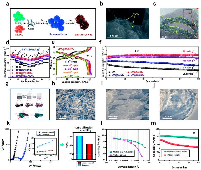 https://cdn.ncbi.nlm.nih.gov/pmc/blobs/89fb/11643613/32d858dc5d7a/nanomaterials-14-01915-g007.jpg