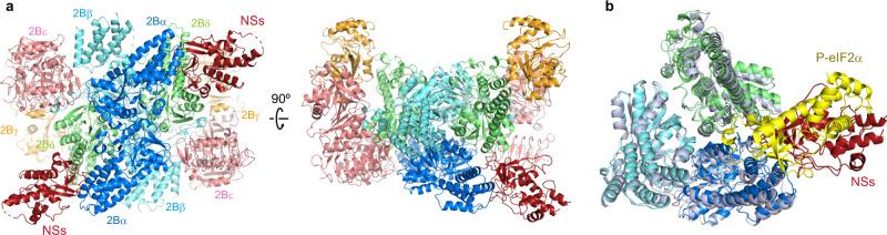 https://cdn.ncbi.nlm.nih.gov/pmc/blobs/89fb/8651795/7e953fd5fc06/41467_2021_27337_Fig1_HTML.jpg