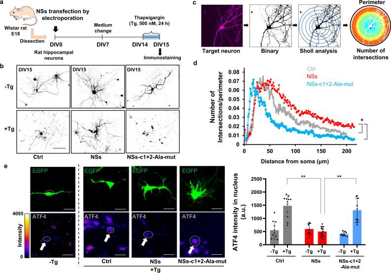 https://cdn.ncbi.nlm.nih.gov/pmc/blobs/89fb/8651795/b07299b37979/41467_2021_27337_Fig5_HTML.jpg