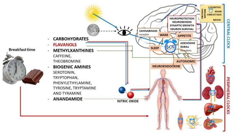 https://cdn.ncbi.nlm.nih.gov/pmc/blobs/89fd/9370573/c74d7f8bcbda/nutrients-14-03113-g001.jpg