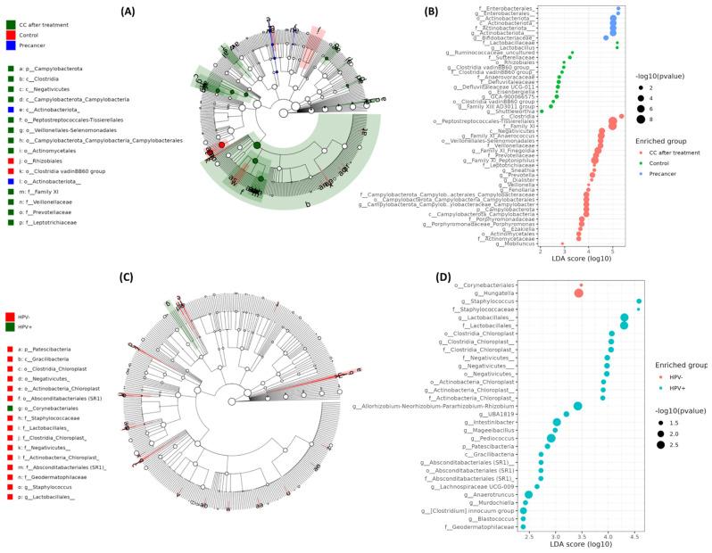 https://cdn.ncbi.nlm.nih.gov/pmc/blobs/89fe/12388290/1f1f3e82bf34/microorganisms-13-01884-g005.jpg