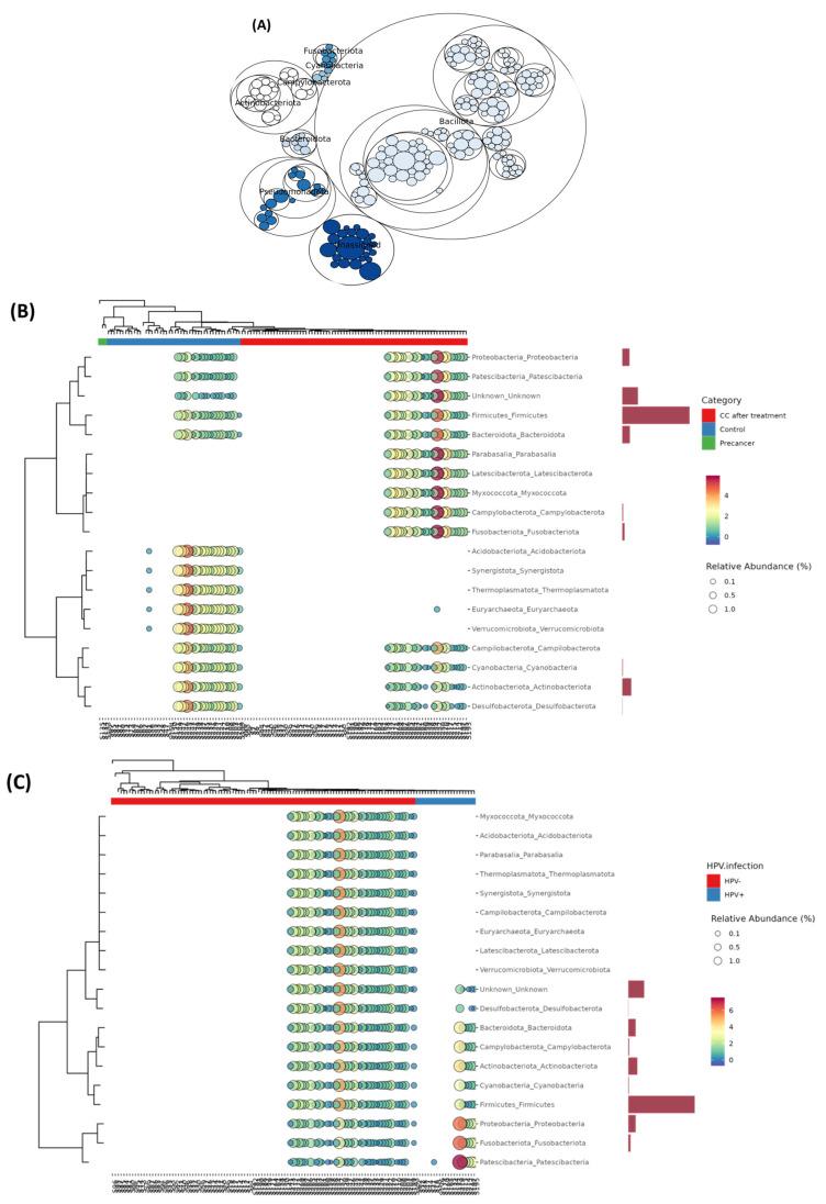 https://cdn.ncbi.nlm.nih.gov/pmc/blobs/89fe/12388290/e5f5bdea65ed/microorganisms-13-01884-g006.jpg