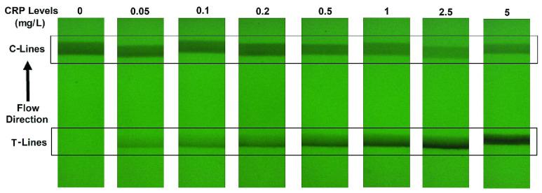 https://cdn.ncbi.nlm.nih.gov/pmc/blobs/89ff/8641912/0646c2156ade/jing4-3130494.jpg