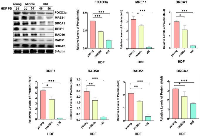 https://cdn.ncbi.nlm.nih.gov/pmc/blobs/8a00/9741359/8c9c1a7233e9/molecules-27-08623-g002.jpg