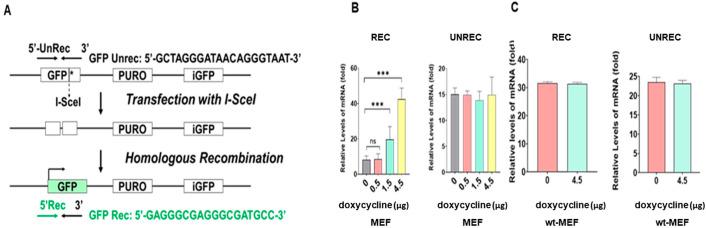 https://cdn.ncbi.nlm.nih.gov/pmc/blobs/8a00/9741359/994f4de8b28a/molecules-27-08623-g005.jpg
