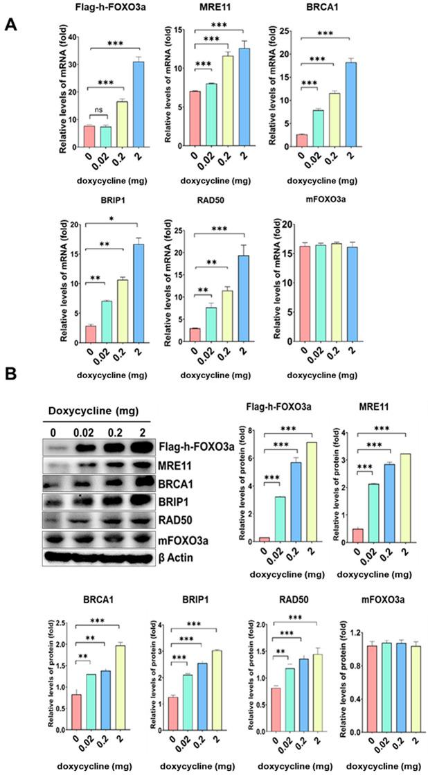 https://cdn.ncbi.nlm.nih.gov/pmc/blobs/8a00/9741359/aa0b8c58fd97/molecules-27-08623-g004.jpg