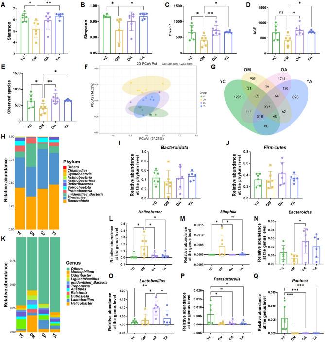https://cdn.ncbi.nlm.nih.gov/pmc/blobs/8a01/11246462/27047b040309/41598_2024_67132_Fig5_HTML.jpg