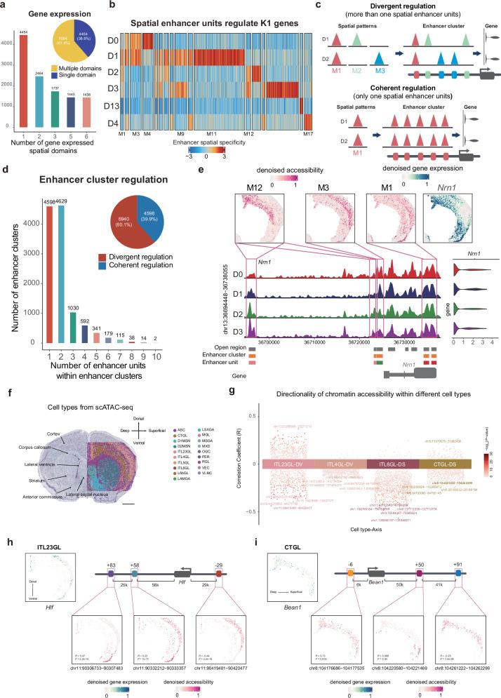 https://cdn.ncbi.nlm.nih.gov/pmc/blobs/8a01/12130290/784467ec2cc8/41467_2025_60482_Fig2_HTML.jpg