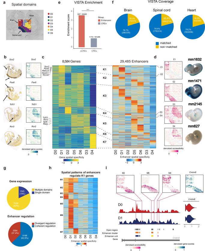 https://cdn.ncbi.nlm.nih.gov/pmc/blobs/8a01/12130290/ca78235ea0c0/41467_2025_60482_Fig4_HTML.jpg