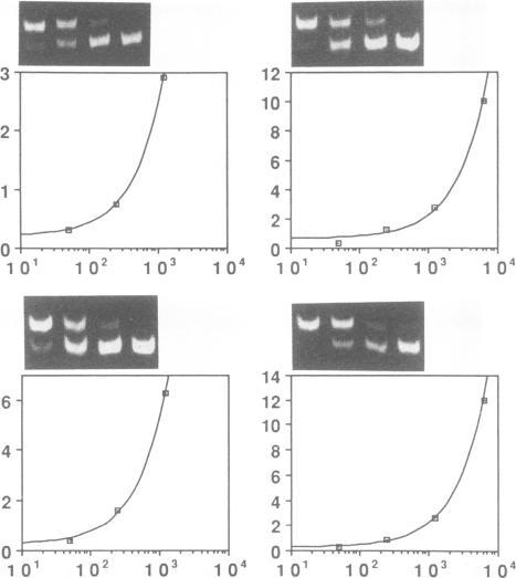 https://cdn.ncbi.nlm.nih.gov/pmc/blobs/8a04/240437/1370c5824dd6/jvirol00043-0508-a.jpg