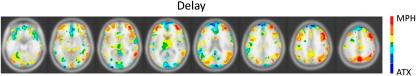 https://cdn.ncbi.nlm.nih.gov/pmc/blobs/8a05/3079849/fff36adfc34c/npp20119f7.jpg