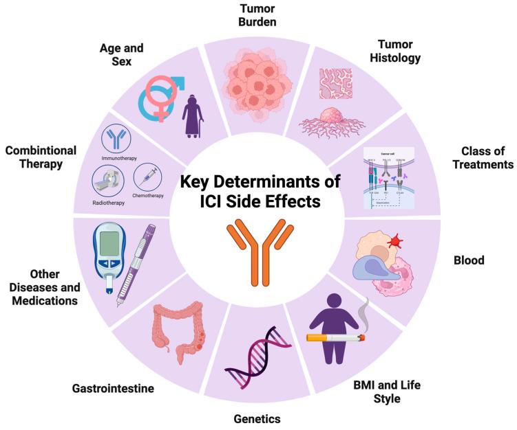 https://cdn.ncbi.nlm.nih.gov/pmc/blobs/8a06/10705334/c3a1c473a6fd/cancers-15-05622-g001.jpg