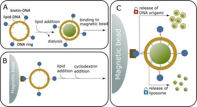 https://cdn.ncbi.nlm.nih.gov/pmc/blobs/8a07/11525534/753edec92675/ao4c05297_0001.jpg