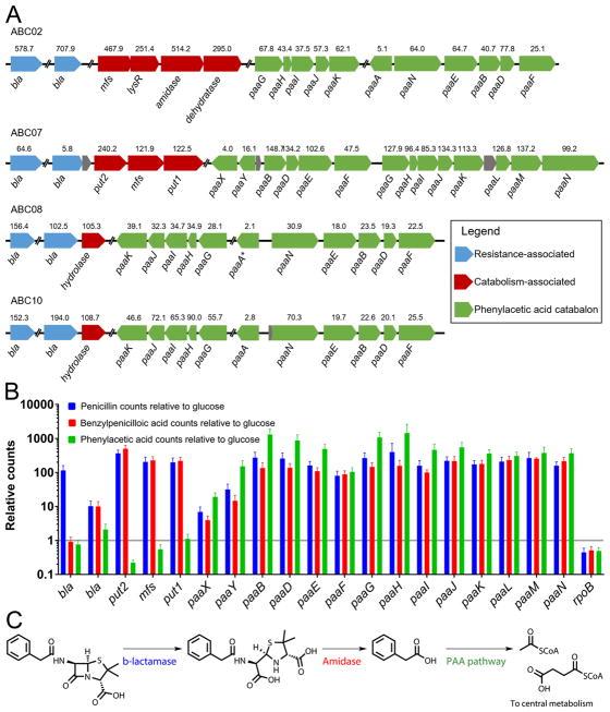 https://cdn.ncbi.nlm.nih.gov/pmc/blobs/8a08/5964007/53a4f09a1daa/nihms949767f2.jpg