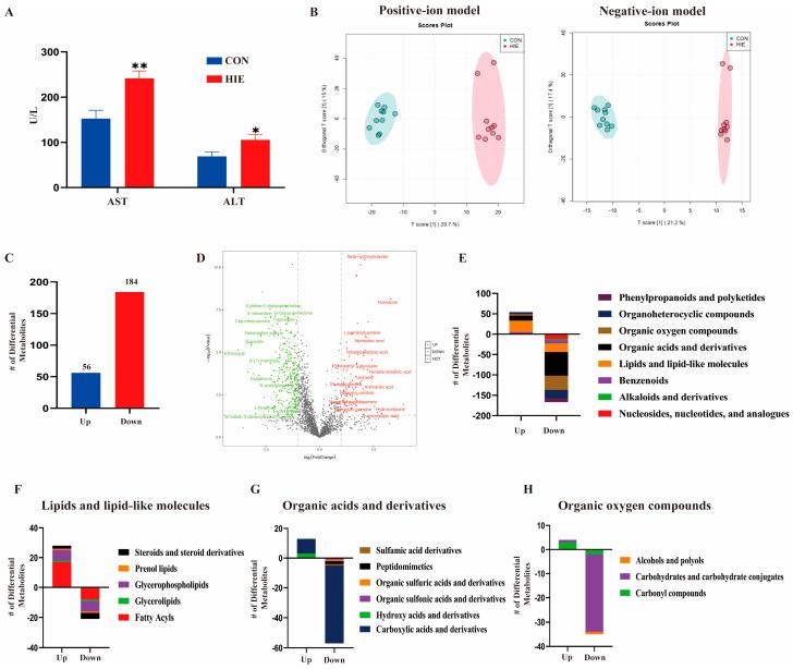 https://cdn.ncbi.nlm.nih.gov/pmc/blobs/8a09/12026455/2f4409a2f00e/cells-14-00605-g001.jpg