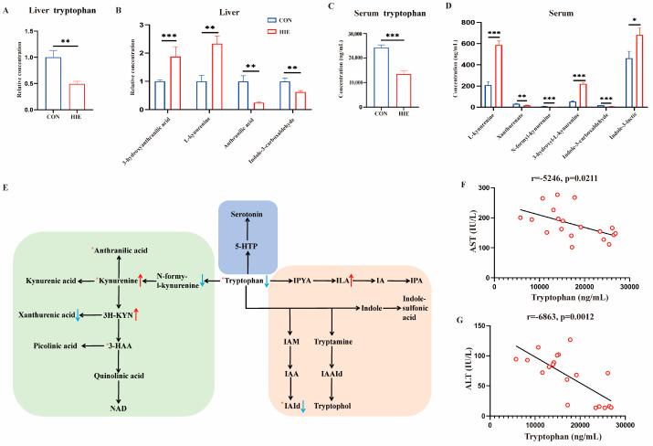 https://cdn.ncbi.nlm.nih.gov/pmc/blobs/8a09/12026455/751c0a8f795d/cells-14-00605-g002.jpg