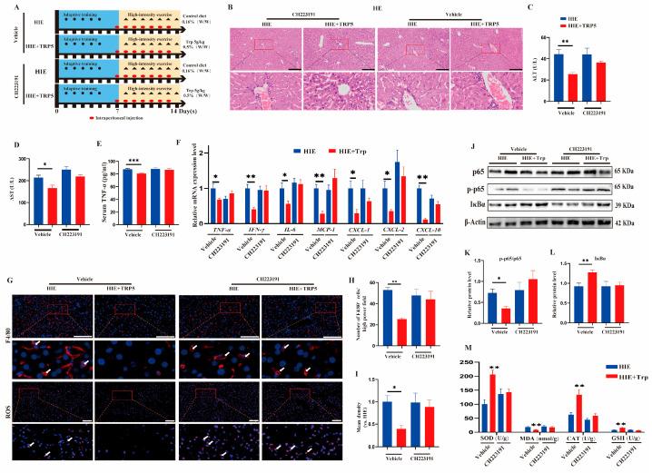 https://cdn.ncbi.nlm.nih.gov/pmc/blobs/8a09/12026455/c4df2df8ade1/cells-14-00605-g006.jpg