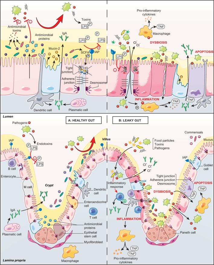 https://cdn.ncbi.nlm.nih.gov/pmc/blobs/8a09/6375115/5a3175d2a483/ceg-12-067Fig1.jpg