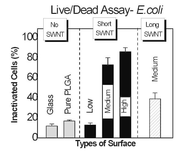 https://cdn.ncbi.nlm.nih.gov/pmc/blobs/8a0a/3848108/510a0edf21db/yjbm_86_4_527_g02.jpg