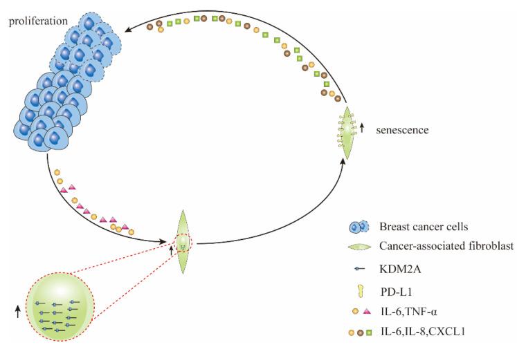 https://cdn.ncbi.nlm.nih.gov/pmc/blobs/8a0a/9599409/4bb30ff05bcc/cancers-14-04990-g002.jpg