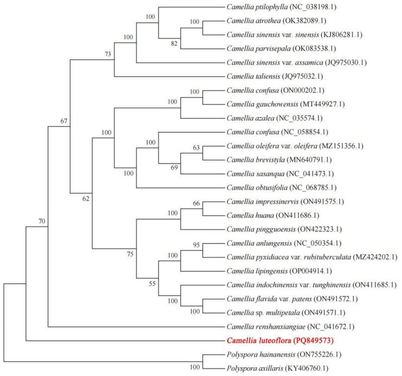 https://cdn.ncbi.nlm.nih.gov/pmc/blobs/8a0d/11971748/40a67cc1421f/12870_2025_6461_Fig10_HTML.jpg