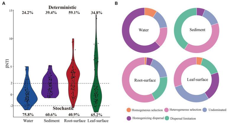 https://cdn.ncbi.nlm.nih.gov/pmc/blobs/8a0e/10754954/fe2027b03c3c/fmicb-14-1288304-g005.jpg