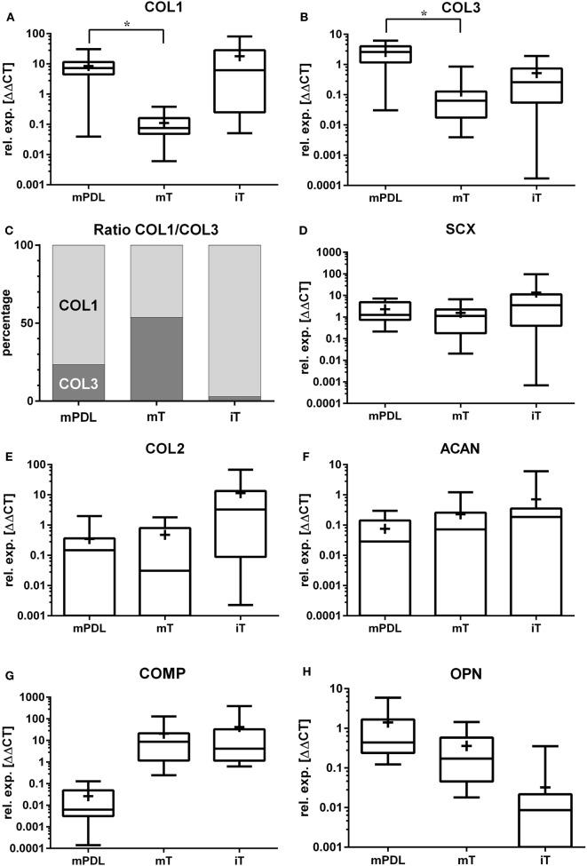 https://cdn.ncbi.nlm.nih.gov/pmc/blobs/8a13/5768624/e8e14c1df1ba/fvets-04-00235-g001.jpg