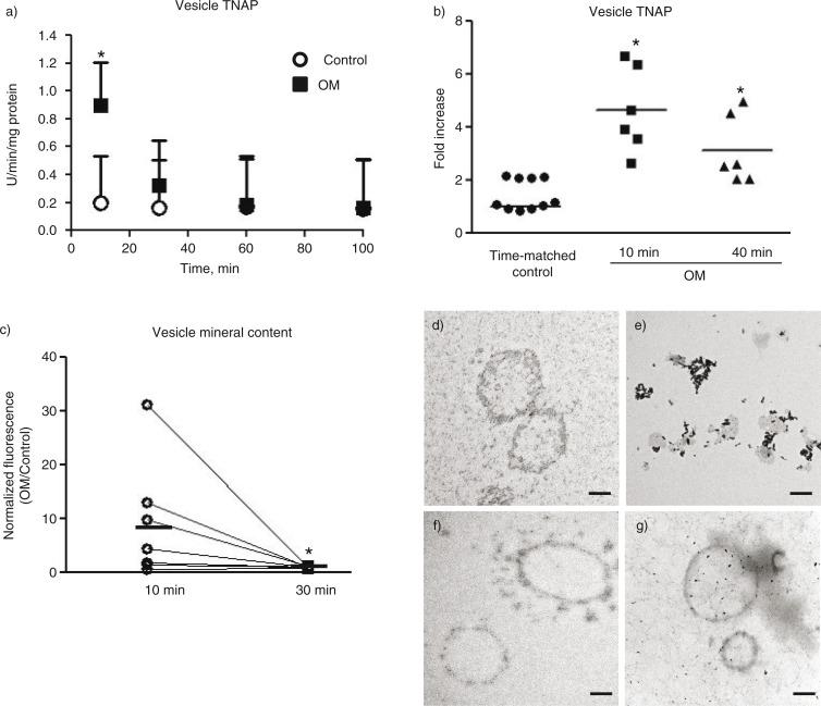 https://cdn.ncbi.nlm.nih.gov/pmc/blobs/8a15/4261240/38d0d86d8578/JEV-3-25129-g003.jpg